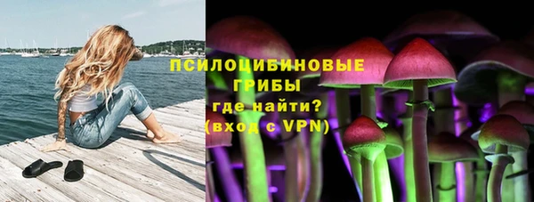 первитин Новозыбков