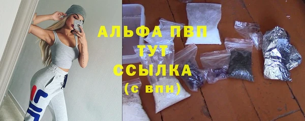 первитин Новозыбков