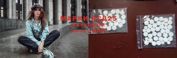 стаф Новодвинск