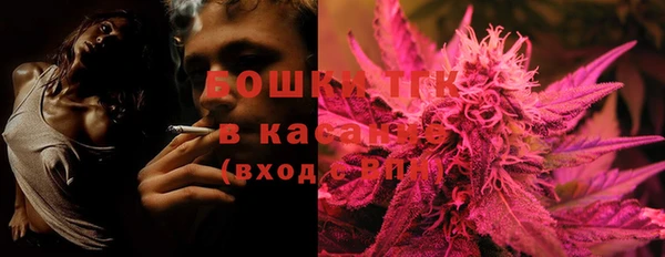стаф Новодвинск