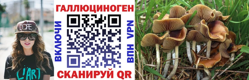 Галлюциногенные грибы Psilocybe  Семёнов 
